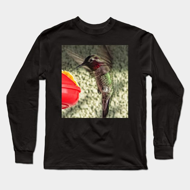 Hummingbird dance Long Sleeve T-Shirt by Photography_fan